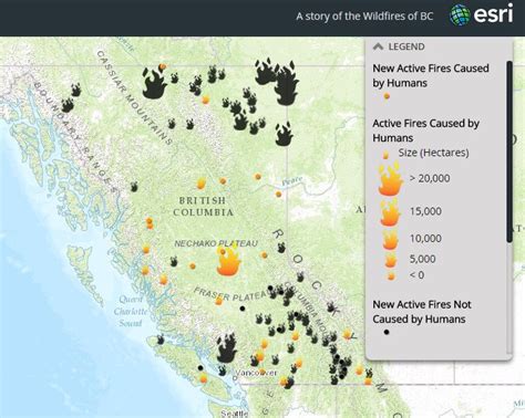 Wildfires in British Columbia (Story Map) - How many are caused by ...