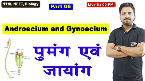 PART 06 Androecium and Gynoecium, 11TH Biology - YouTube