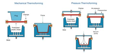 Thermoforming With Biobased Plastics for Greater Sustainability ...