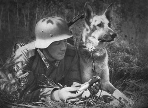 Vorsichtig!! | Armeehunde, Deutsche soldaten 2. weltkrieg, Erster weltkrieg