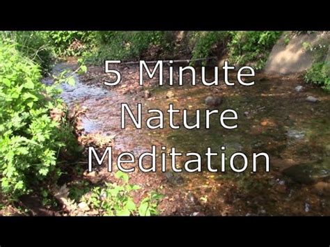 5 minute Guided Meditation with Nature Sounds - YouTube