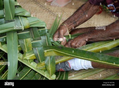 Fijian Art Stock Photos & Fijian Art Stock Images - Alamy