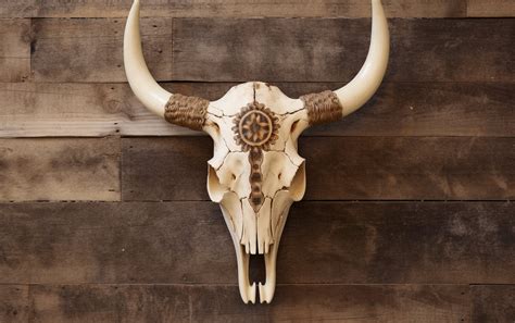 Rustic Elegance: Stylish Ideas for Cow Skull Decor – Untamed Creatures