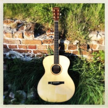 Sire acoustic guitars