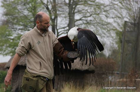 Meeting the Burrowers - Hawk Conservancy Trust - A Bavarian Sojourn