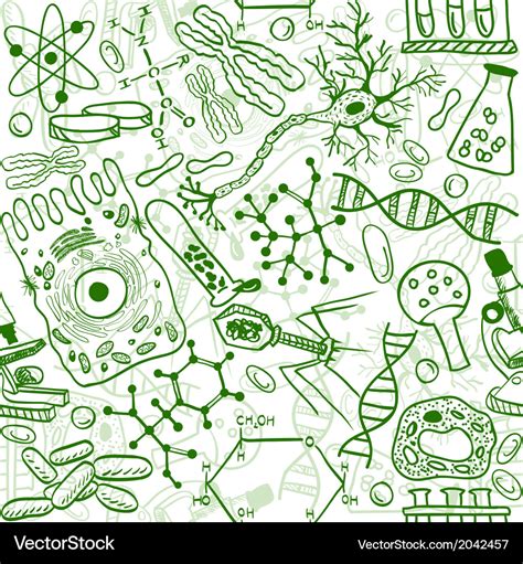 Biology drawings Royalty Free Vector Image - VectorStock