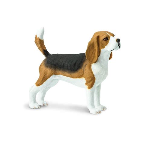 Beagle – Constructive Fun Toys