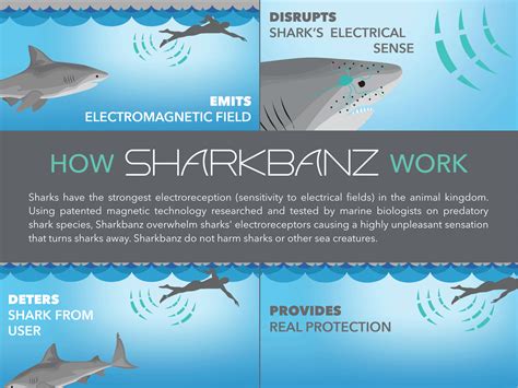 Sharkbanz 2 - Good Design