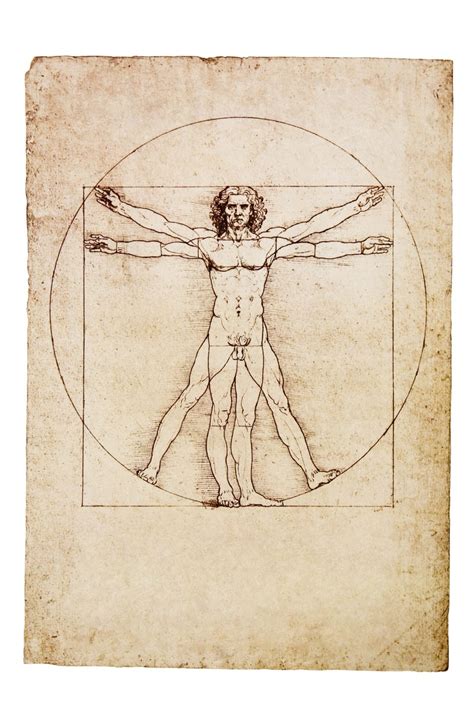 Leonardo Da Vinci Vitruvian Man Drawing