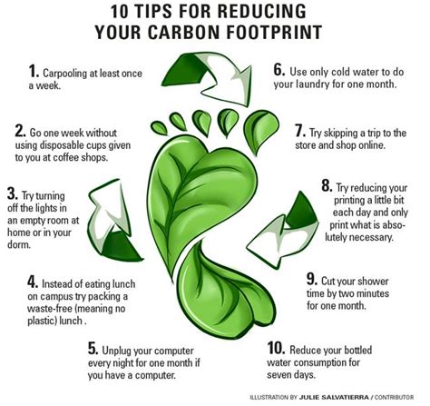 How to reduce your daily carbon footprint – The Sundial