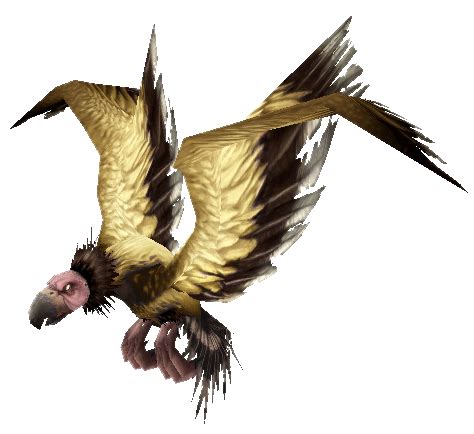 Condor | WoWWiki | Fandom powered by Wikia