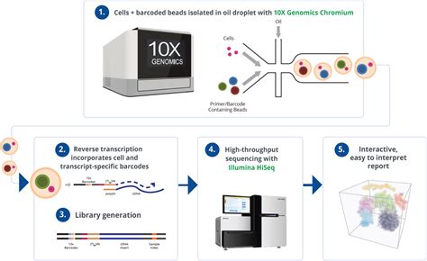 Single-Cell RNA-Sequencing - Next Generation Sequencing - GENEWIZ