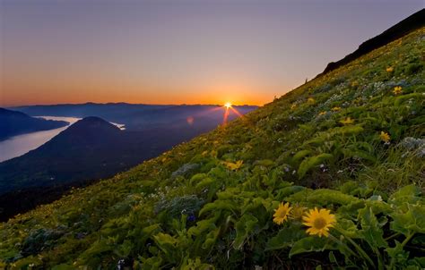 Dog Mountain Hiking Loop | Outdoor Project