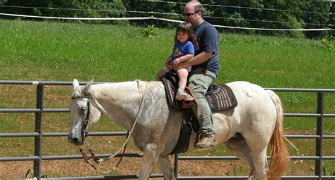 5 Horseback Riding Tips for Beginners - Petful