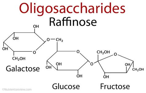 Fructo-oligosaccharides, galacto-oligosaccharides, human milk oligosaccharides, Isomalto ...