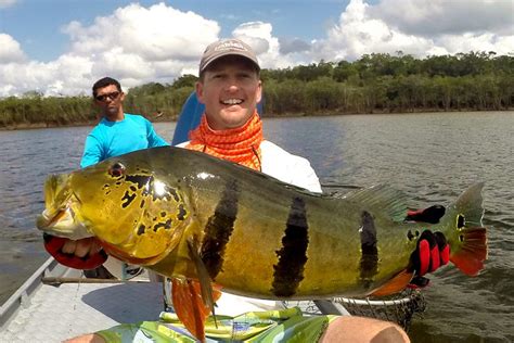 Brazil Amazon Peacock Bass Fishing - River Plate Anglers