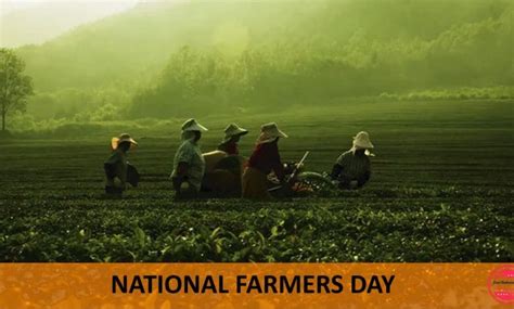 Happy National Farmers Day Captions, Status and Quotes