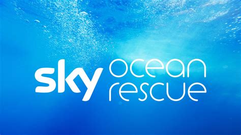 Sky Ocean Rescue: How to get involved | World News | Sky News