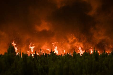 Climate change driving unprecedented forest fire loss