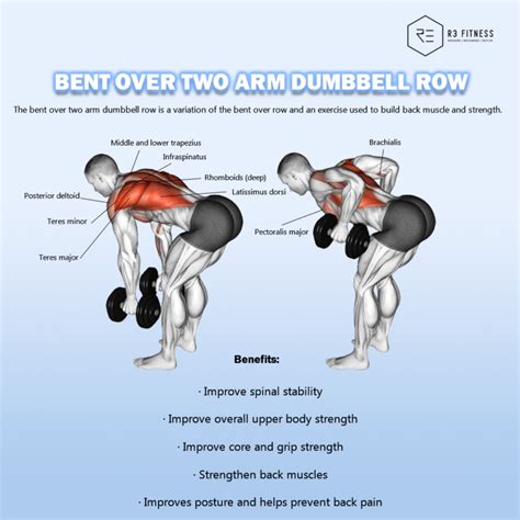 Bent Over Dumbbell Rows