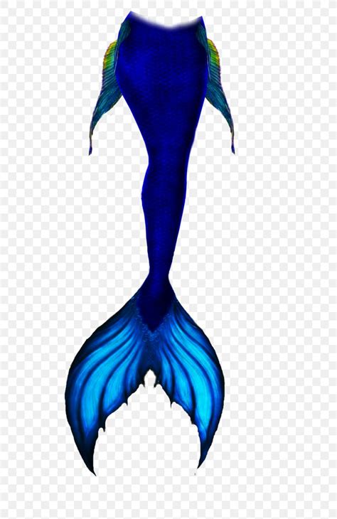 Mermaid Tail Drawing Sketch, PNG, 632x1264px, Mermaid, Art, Concept Art ...