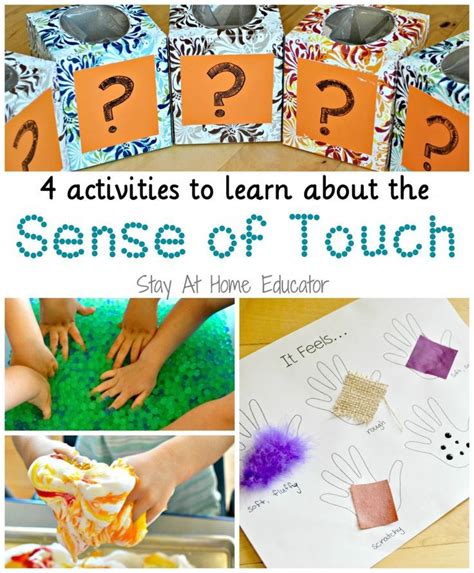 Four Activities to Learn About the Sense of Touch | Senses preschool, Senses activities, Five ...