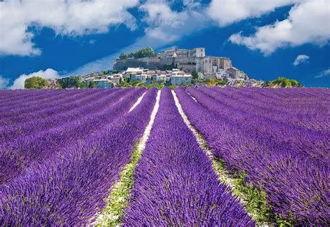 Lavande en Provence, village provenal en France - maximize