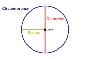 How To Calculate Circumference of a Circle.