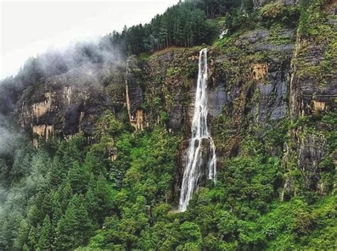 Bambarakanda Falls: Tallest Waterfall In Sri Lanka