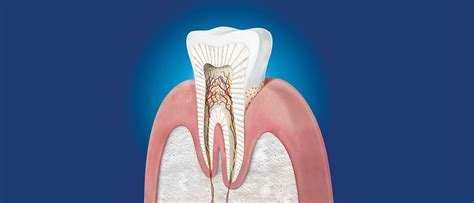 Potassium Nitrate Science Overview | Haleon HealthPartner