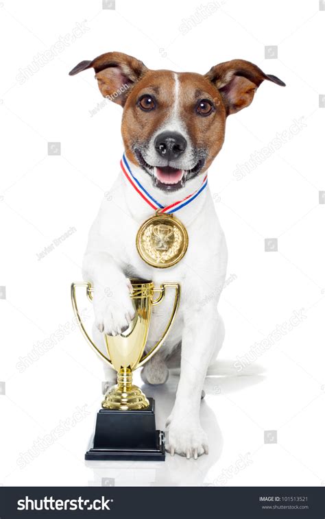 1,518 Dog with gold medal Images, Stock Photos & Vectors | Shutterstock