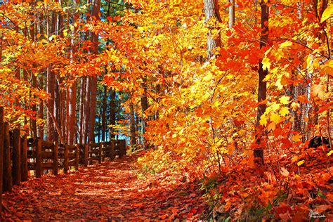 Best Places to See Fall Foliage in Quebec