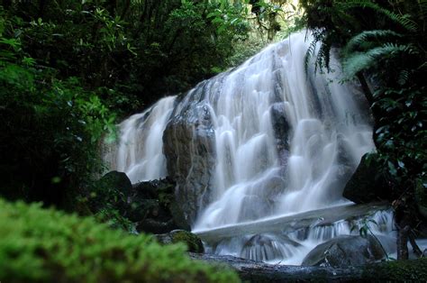 air terjun pancaweuleuh,gunung gede,pangrango | Air terjun, Air, Gunung