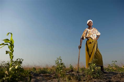 Calista Jones: African Women Food Farmers