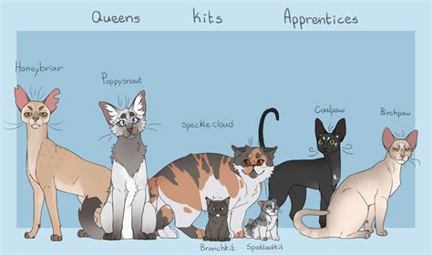 My windclan lineup from my comic au (P2) Queens, Kits and Apprentices : r/WarriorCats