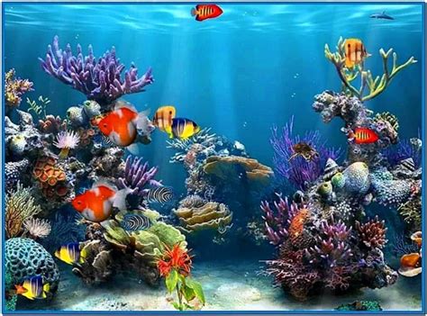 Coral reef adventure aquarium 3d screensaver 1.0 - Download free