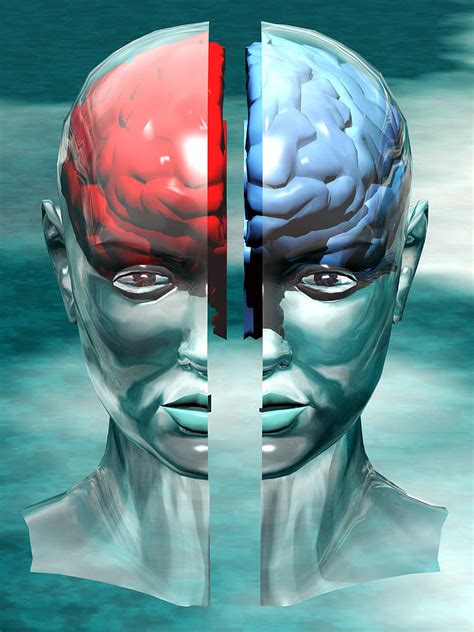 Split Brain, Conceptual Artwork Photograph by Laguna Design - Pixels