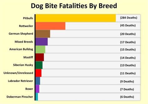 Dog Bite Statistics 2024 - Bibi Marita