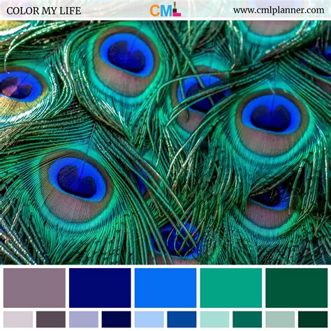 Color Palette #072718 – Color My Life | Peacock color scheme, Green ...