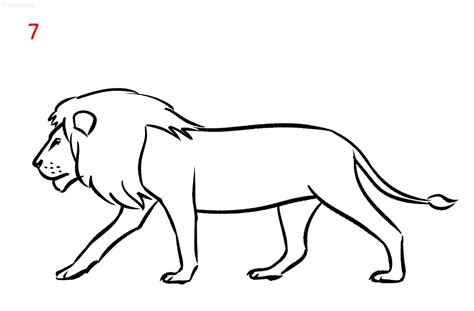 Lion Drawing Ideas How to draw a Lion