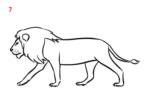 Lion Drawing Ideas How to draw a Lion