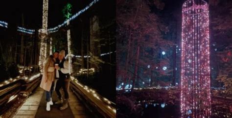 Capilano Bridge has transformed into a magical holiday wonderland | Events