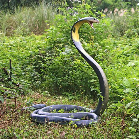 Lifesize King Cobra Snake Statue | The Green Head