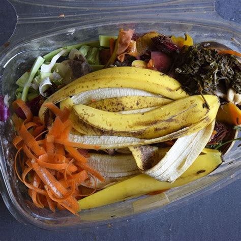 3 Ways to Compost Food Scraps