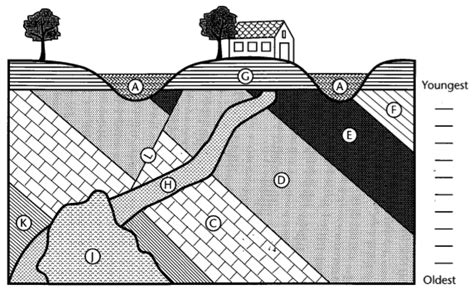 Solved Sequence the above geologic cross section tnto the | Chegg.com