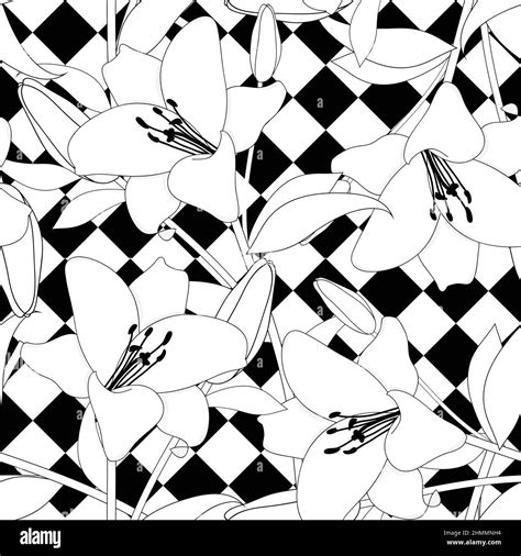 White Lily Line on Black White Diamond Background. Vector Illustration Stock Vector Image & Art ...