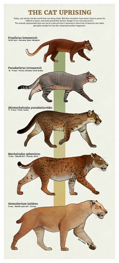 Tumblr Artist, PaleoArt, Creates Beautiful Animal Evolution Series (22 Species) | Prehistoric ...