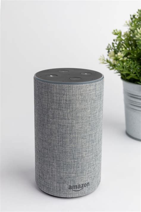 gray, amazon echo, portable, speaker, cylinder, rug, jar, plant | Piqsels
