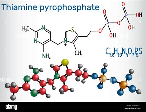 Thiamine Pyrophosphate Structure