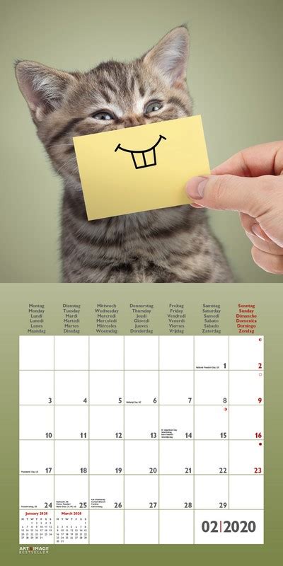 Funny Cats - 2020 Wall Calendar, Art & Image by teNeues | 4002725968524 | Booktopia